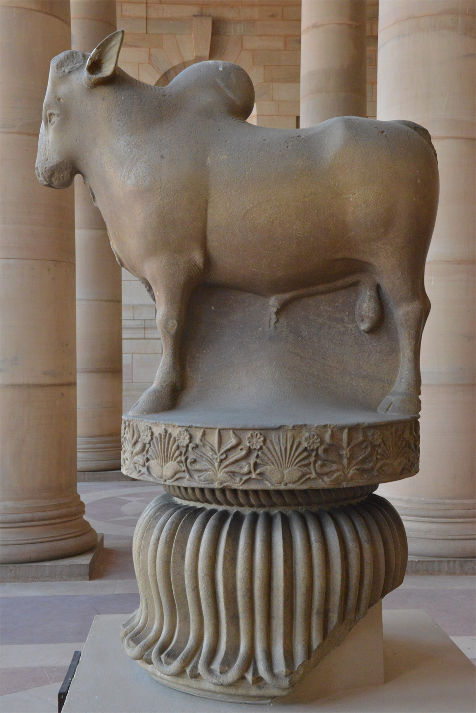 Rampurva Bull