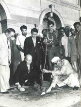 President N.S. Reddy planting a tree at Rashtrapati Bhavan